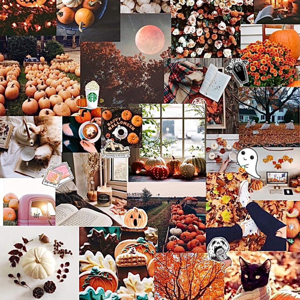 Meet your Posher, Jade